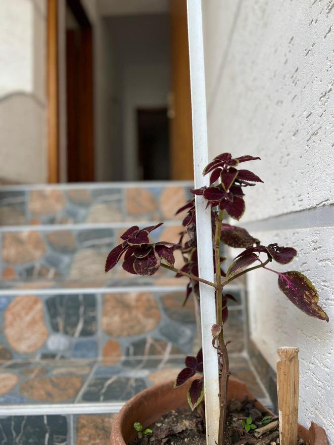 Alex Apartments Sarandë 외부 사진
