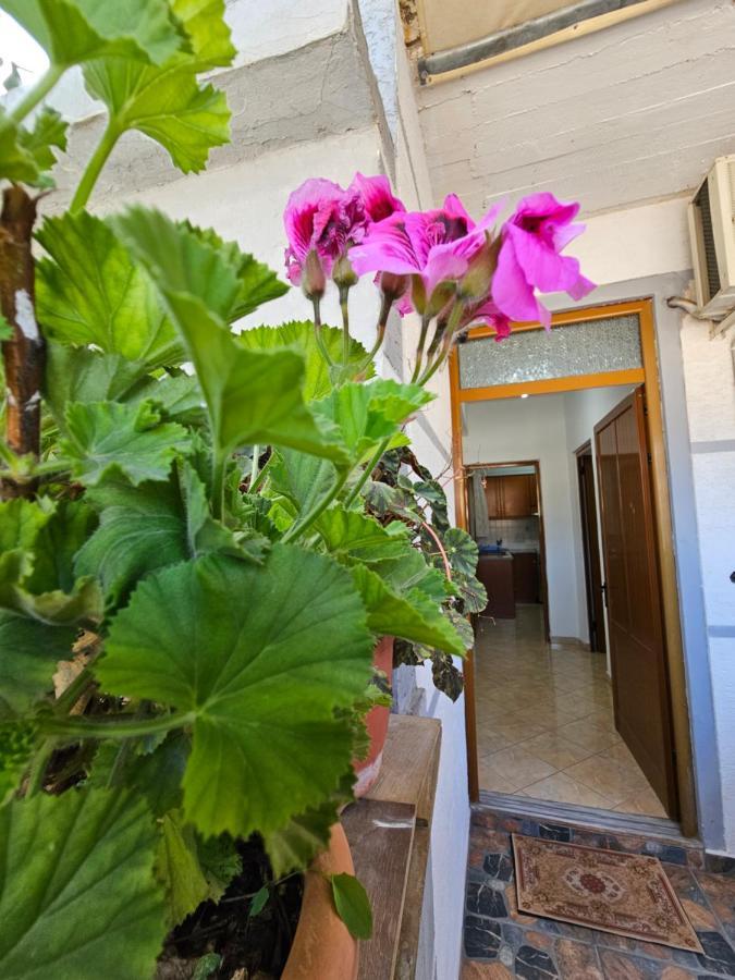 Alex Apartments Sarandë 외부 사진