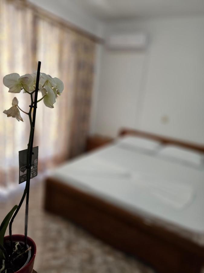 Alex Apartments Sarandë 외부 사진